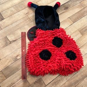 3-6 month ladybug costume